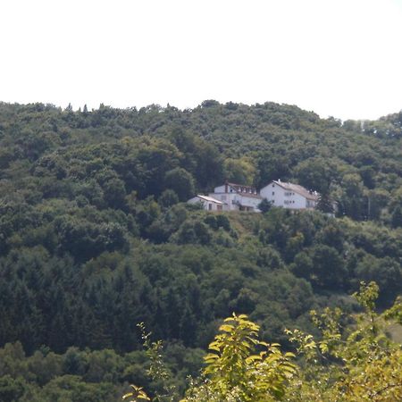 Burg-Hotel Obermoschel Exteriér fotografie