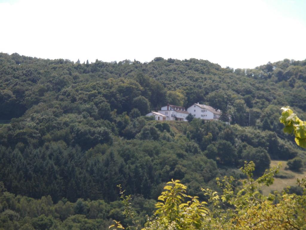 Burg-Hotel Obermoschel Exteriér fotografie